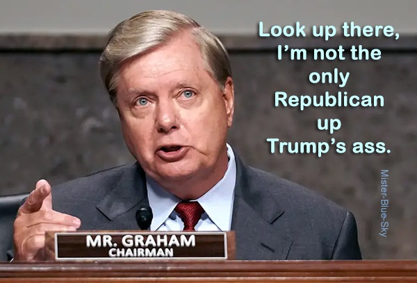 d20e04b4a19fc189cc8989c4430beeb3dc5b809d