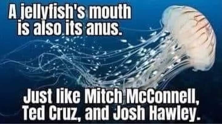 d2da9a7a01b73b1cc196ac628928f541cfd06991