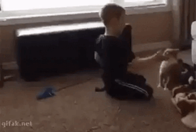 d36b42f86679e6cda7083f3004a3bbb2bd25396cebf804f49ffebde0cd5a0e1e.gif