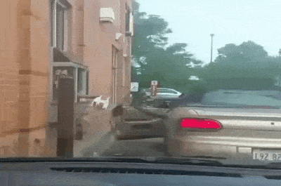 d3a950f98b7f5156eeefb97e764229e604bf5e07d44cdecddfa89257ecf0859e.gif