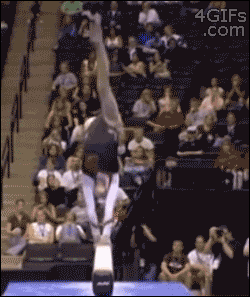 d51c3549c64a126f49d306d8f920d3d3ea8481158ad6bbd9dc6981031d7036e9.gif