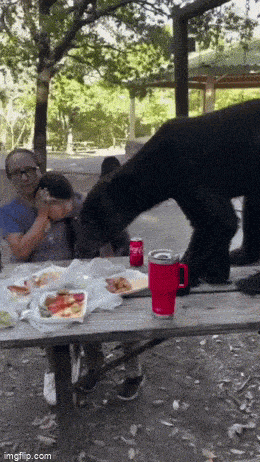d87b249217065e14cbcce52d054f32cb031f02b2fa1339dffdac0749a9c78bf3.gif