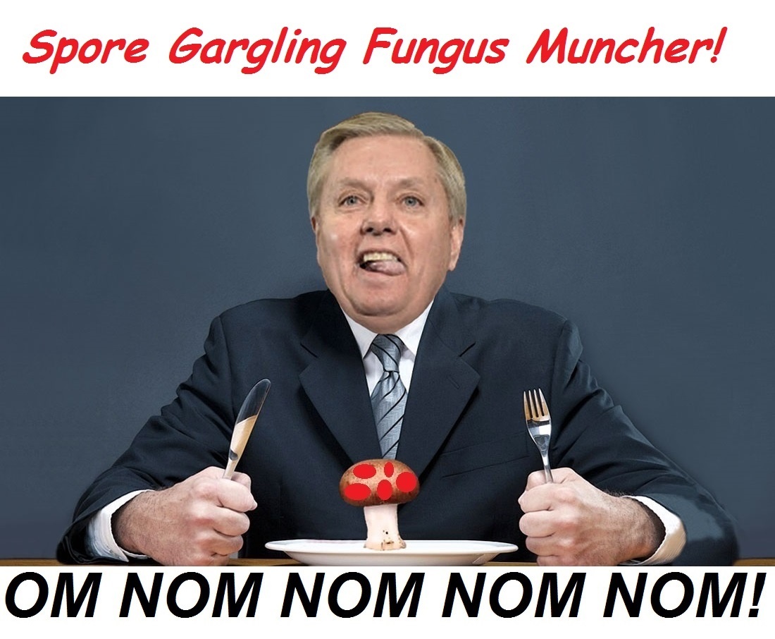 d8d634ad79d759f345b78a3133f25f228355f5e9