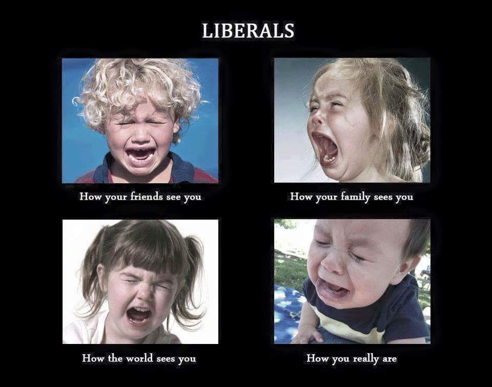 The whiny liberals are out in force | Eatgrueldog