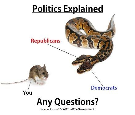Politics explained | Eatgrueldog