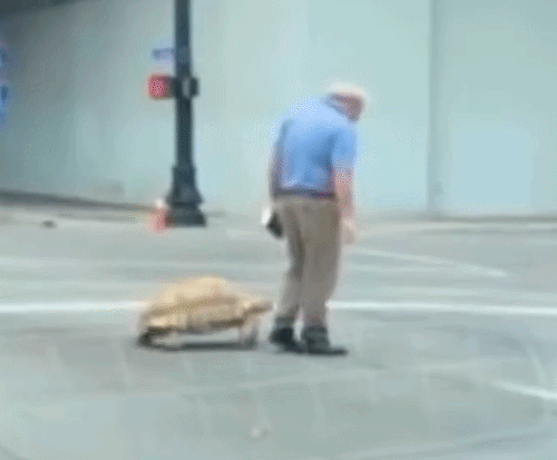 de54a53b307926d5c767d1544de1458e08b2adc25b4e9229f71bb2b76c29882b.gif