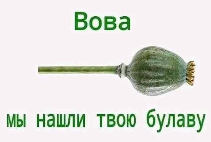 После публикации записей Гончарука в Кабмине ужесточился вопрос безопасности, - Монастырский - Цензор.НЕТ 8901