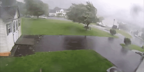 e005ec95912ac39a53cbd55769d8efc70b0d7c8456586ccbecde88bfd5a4fb32.gif