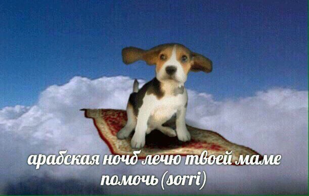 e633b667020fdc4c3fc1bba3a58ec994607a8718