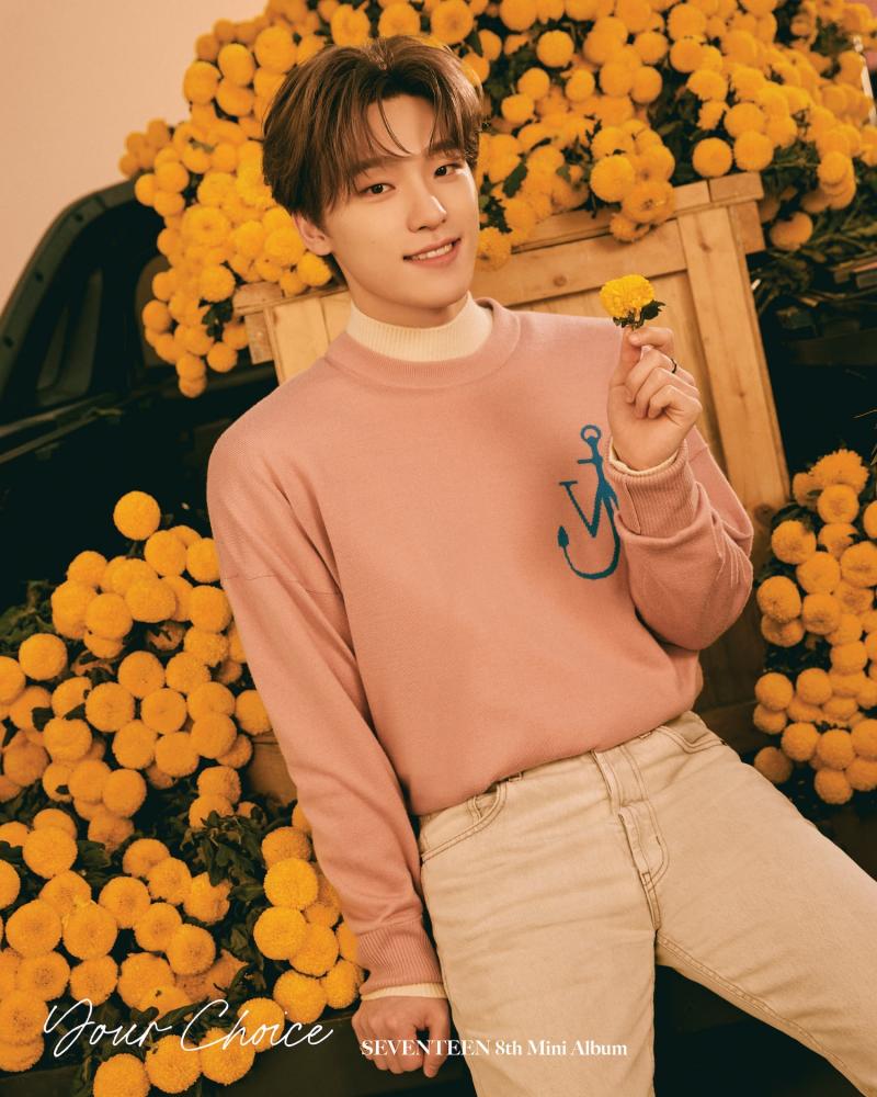 Seventeen Members Profile Updated Seventeen Members Profile Updated