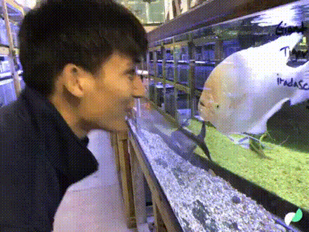 eedad3003cb3fb1c71aa608daa5f7a2889618563d0c6945c2f21c257783d44ef.gif