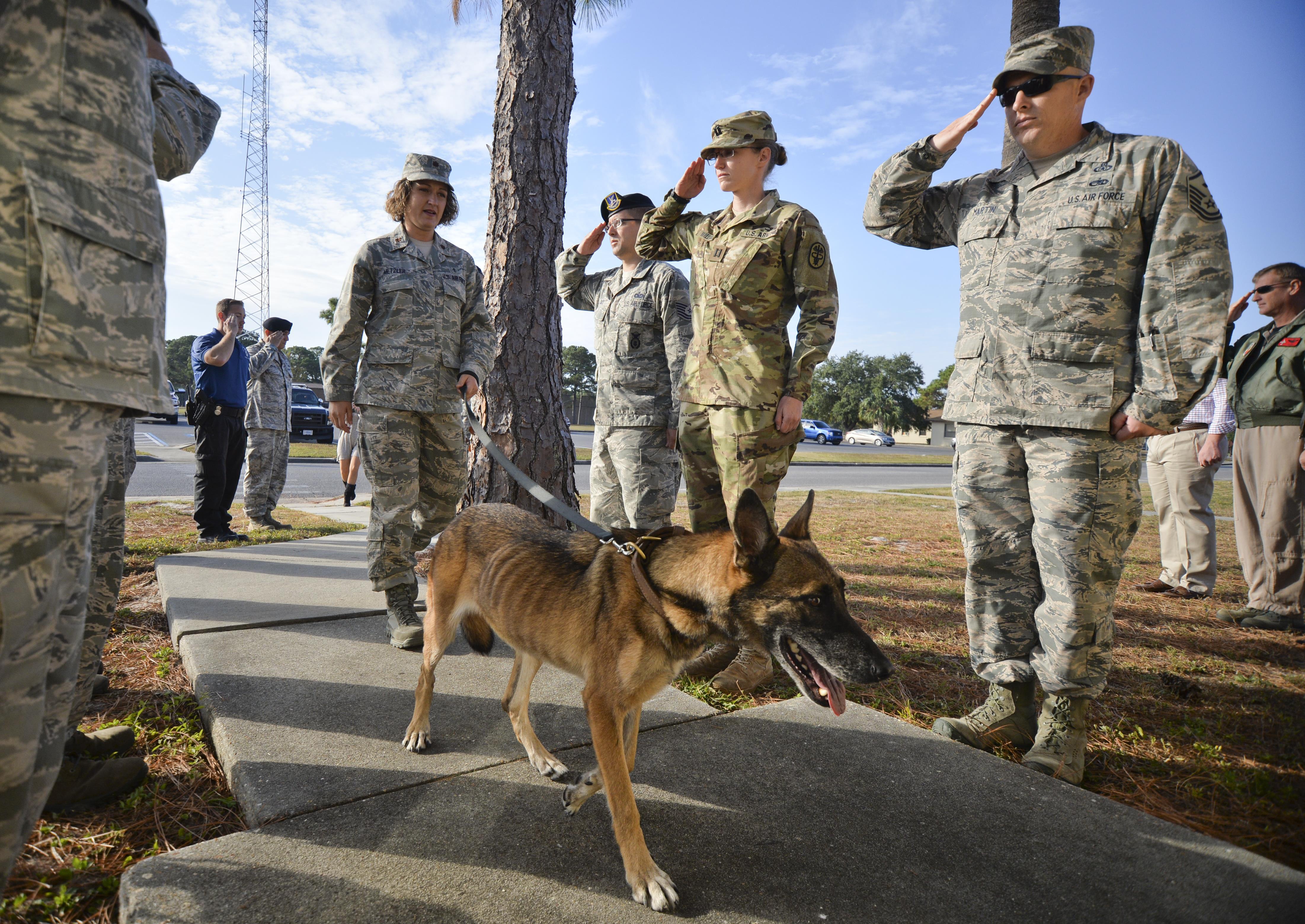 Bipartisan Bill Proposes National Monument for Service Animals