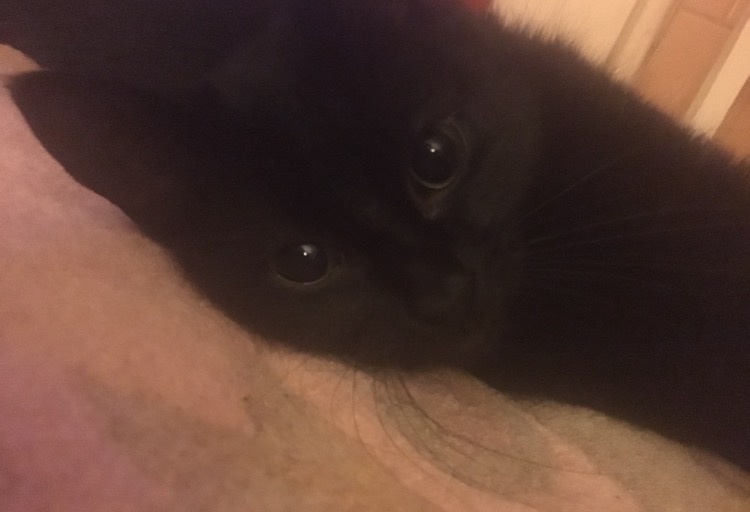 ef6a571d0889d5a14d653d0ac91f98a4a8ca2bb0