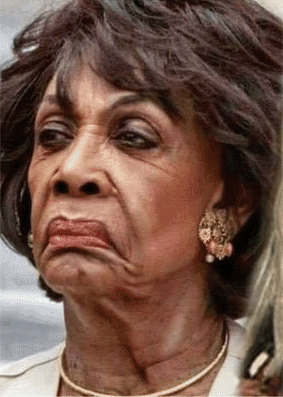 Image result for Maxine waters gif