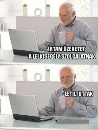 Kép
