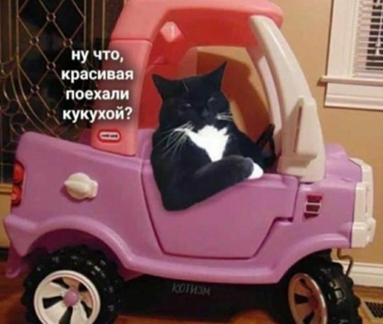 f891891dce496d1b060297af7f5a28e2a05052aa