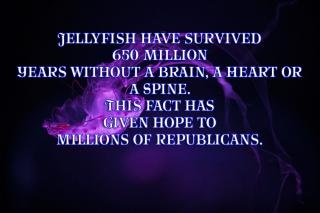 fd1bc6db20d073ea9be7c0c077cbb7e0f27f6fc7