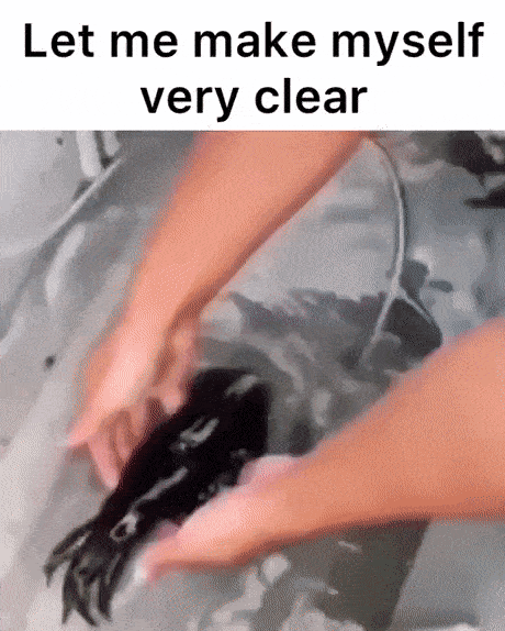fe197eafb622ba4e7206468d1ad9dacf231ea07162206bfc9f8c06f3d9bbd2b3.gif
