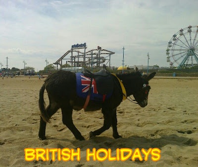 colourful harnessed donkey walking up the beach with caption British Holidays