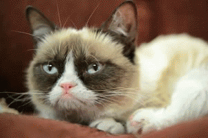 Imagen de Disqus